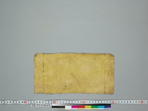 Ajīrṇamañjarī manuscript preview