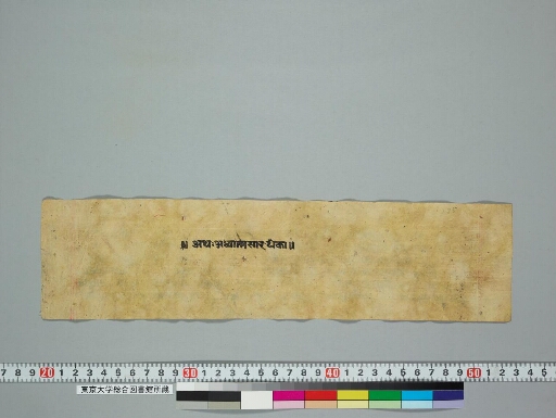 Adhyātmasāraṭīkā manuscript preview