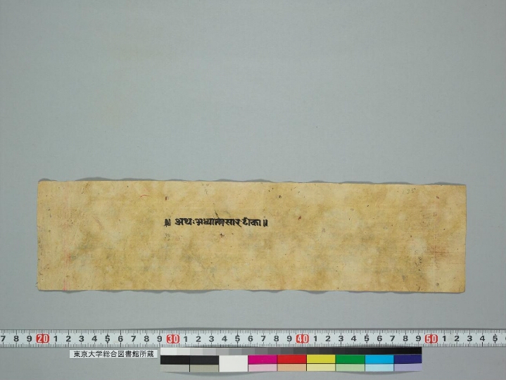 Adhyātmasāraṭīkā manuscript preview