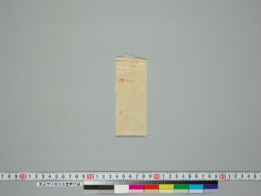Aparimitanāma dhāraṇī manuscript preview