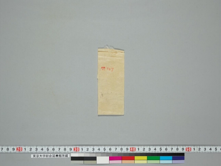 Aparimitanāma dhāraṇī manuscript preview