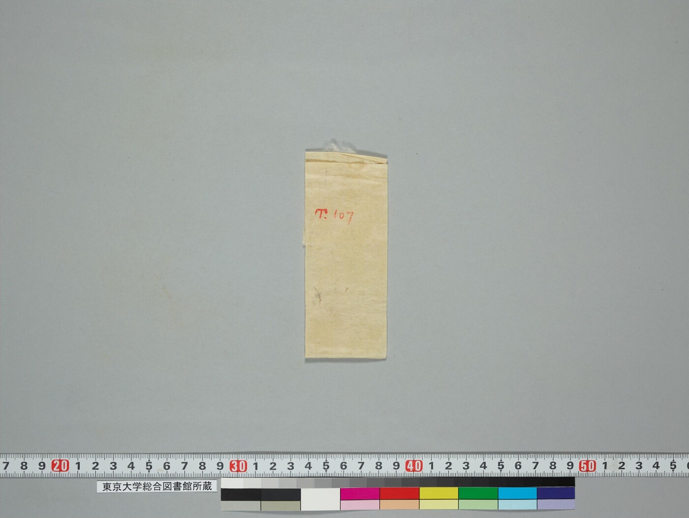Aparimitanāma dhāraṇī manuscript preview