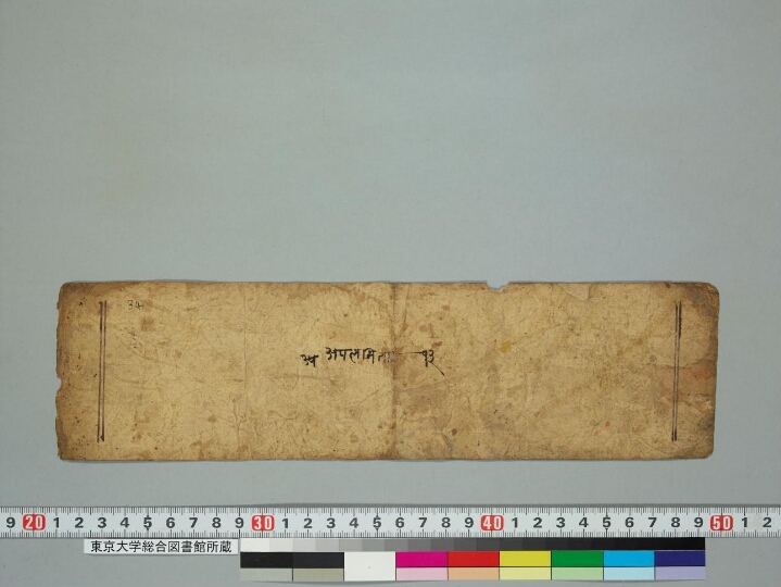 Aparimitāyur nāma mahāyānasūtra manuscript preview