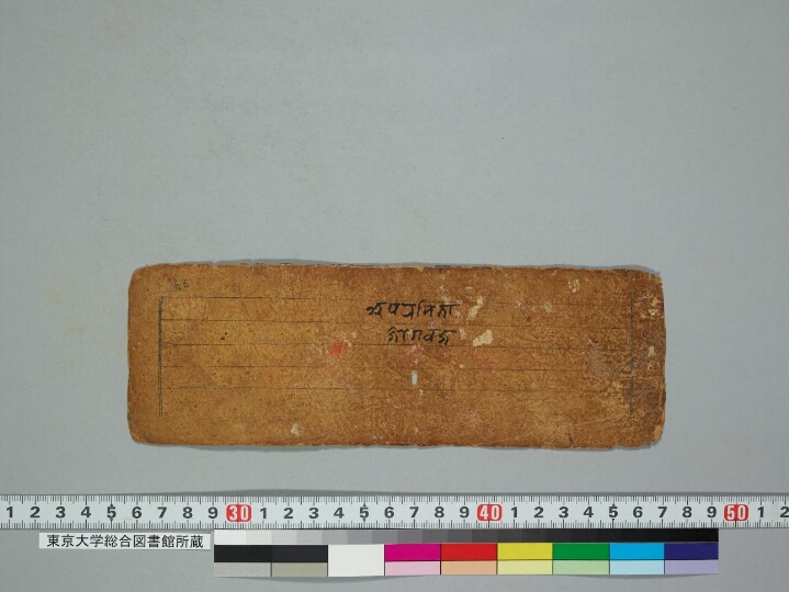 Aparimitāyur nāma mahāyānasūtra manuscript preview