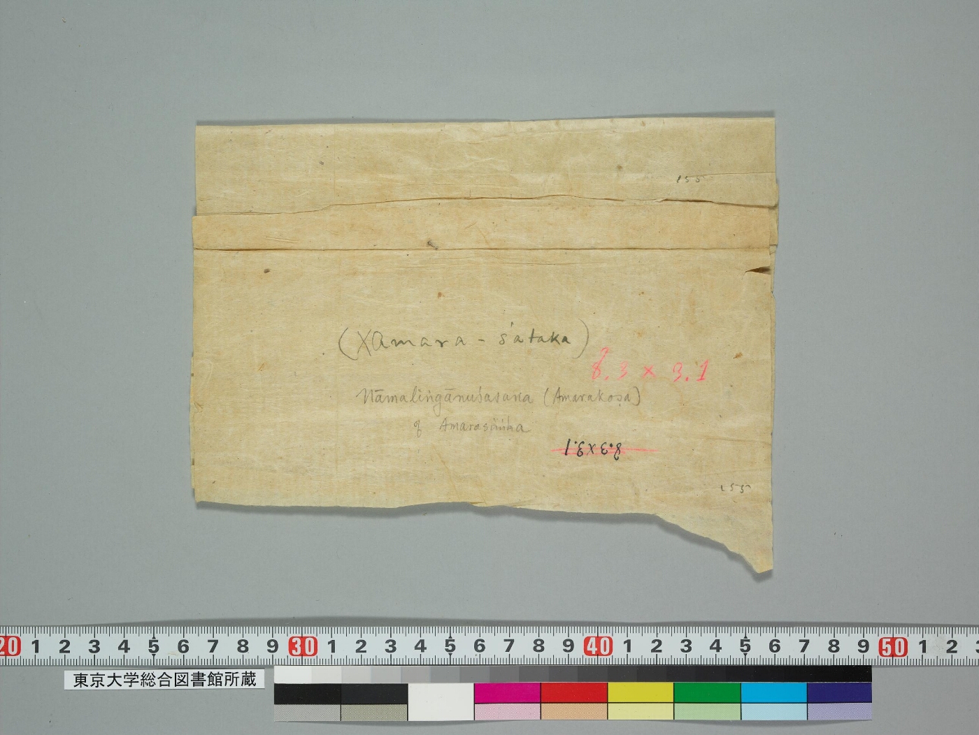 Amarakośa manuscript preview