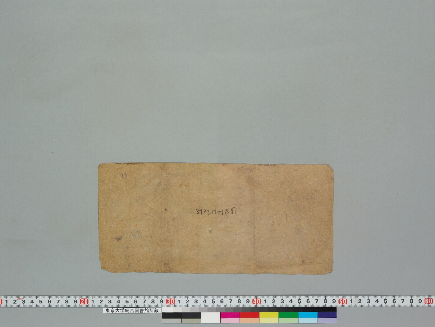 Amṛtalaharī manuscript preview