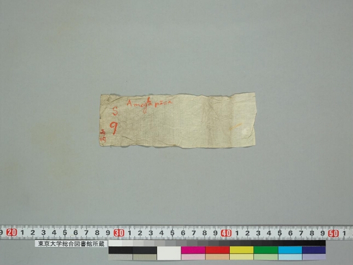 Amoghapāśahṛdaya manuscript preview
