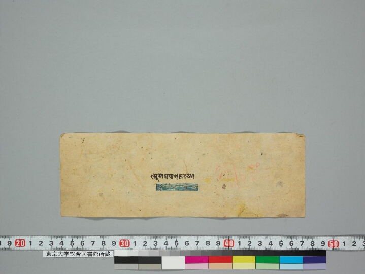 Amoghapāśahṛdaya; Avalokiteśvarasya Abhayaṃkarī dhāraṇī manuscript preview