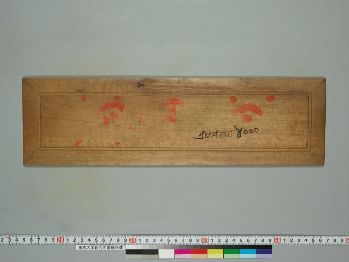 Guṇakāraṇḍavyūha manuscript preview