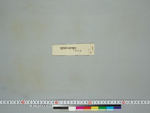 Guṇakāraṇḍavyūha manuscript preview