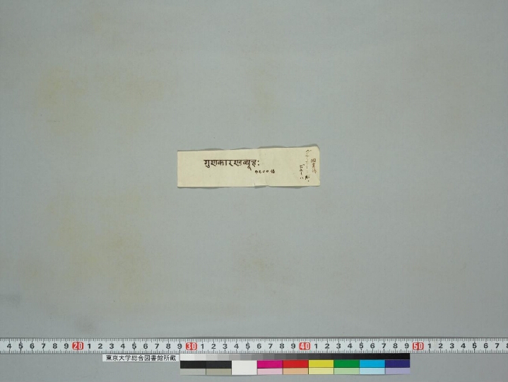 Guṇakāraṇḍavyūha manuscript preview