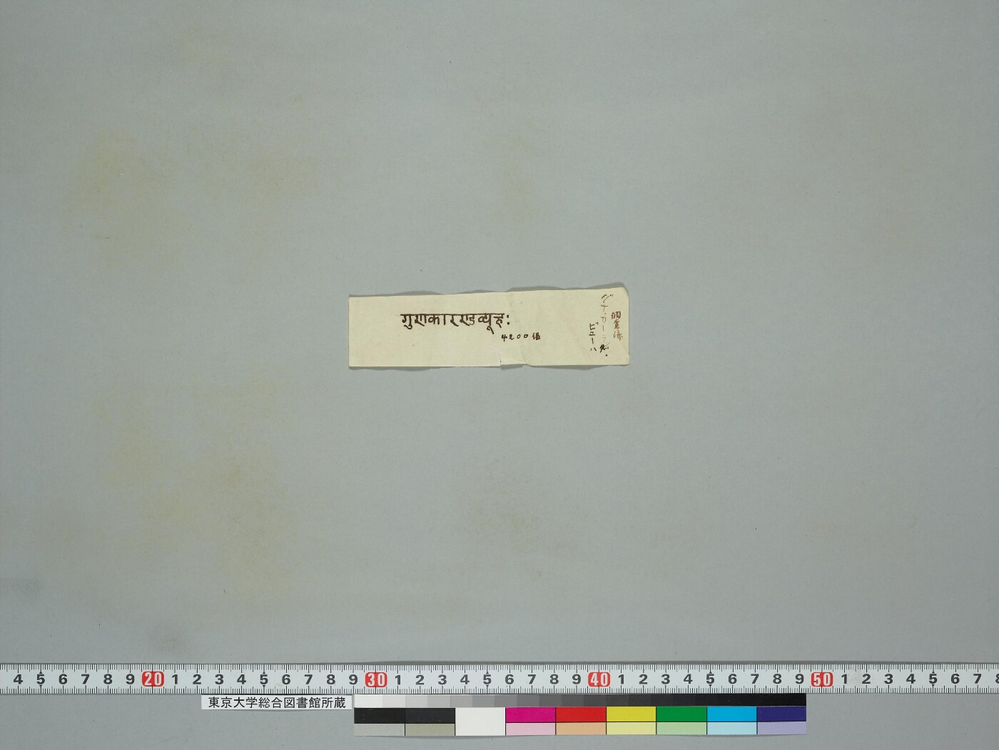 Guṇakāraṇḍavyūha manuscript preview