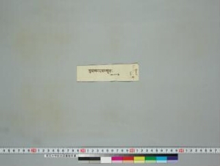 Guṇakāraṇḍavyūha folio 1