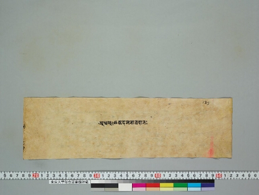 Aśokadamanāvadāna manuscript preview