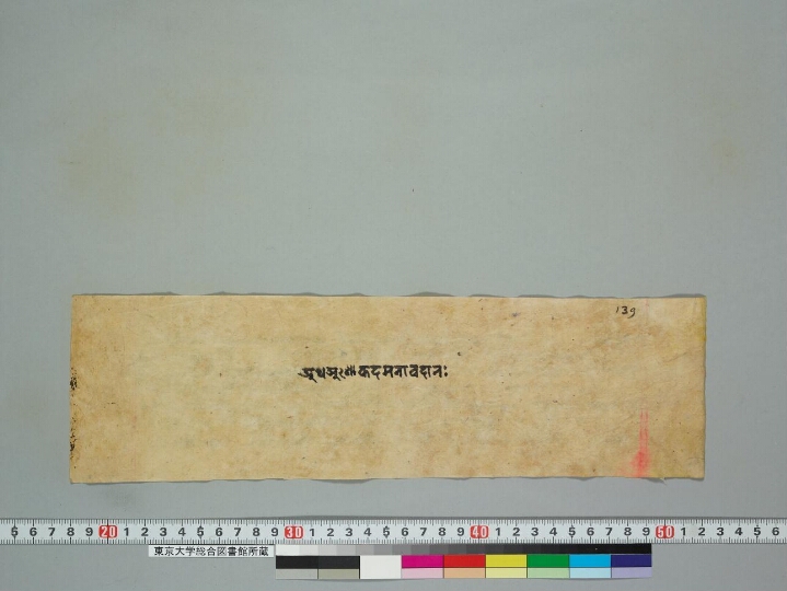 Aśokadamanāvadāna manuscript preview