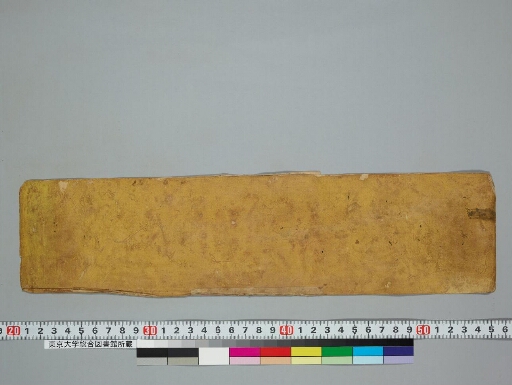 Vajravārāhīkalpa manuscript preview