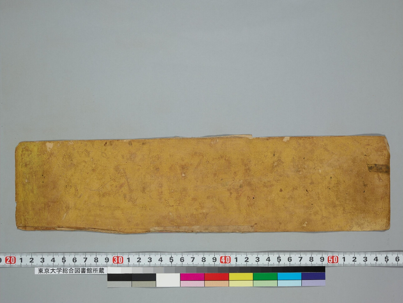 Vajravārāhīkalpa manuscript preview
