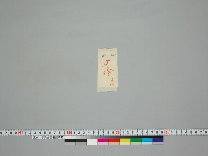 Ahorātra-vrata-caitya-sevānuśaṃsāvadāna manuscript preview