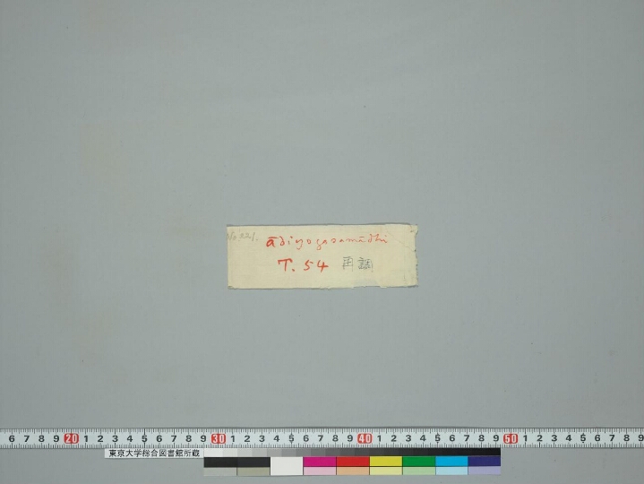 Ādiyogasamādhi manuscript preview