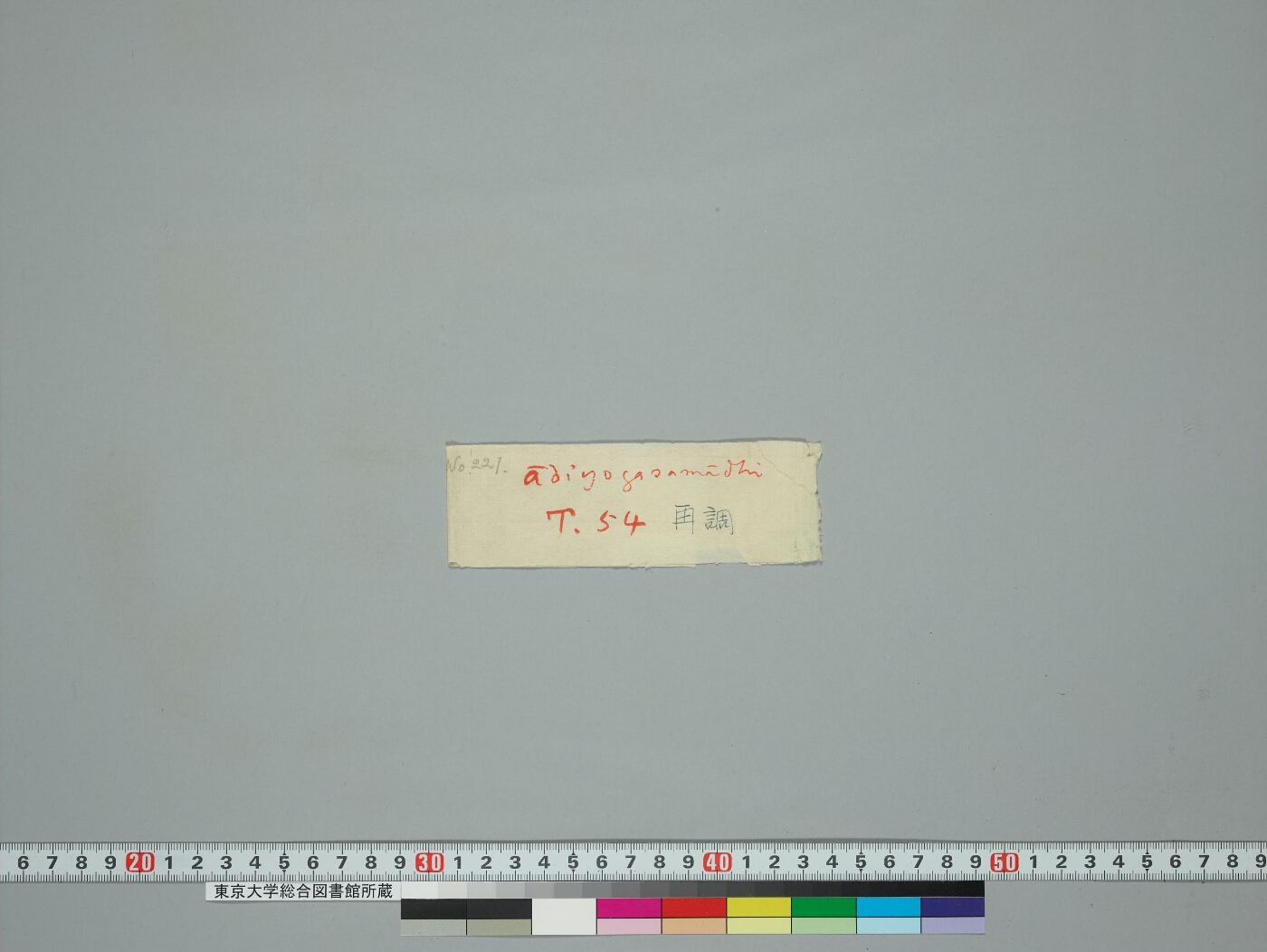 Ādiyogasamādhi manuscript preview