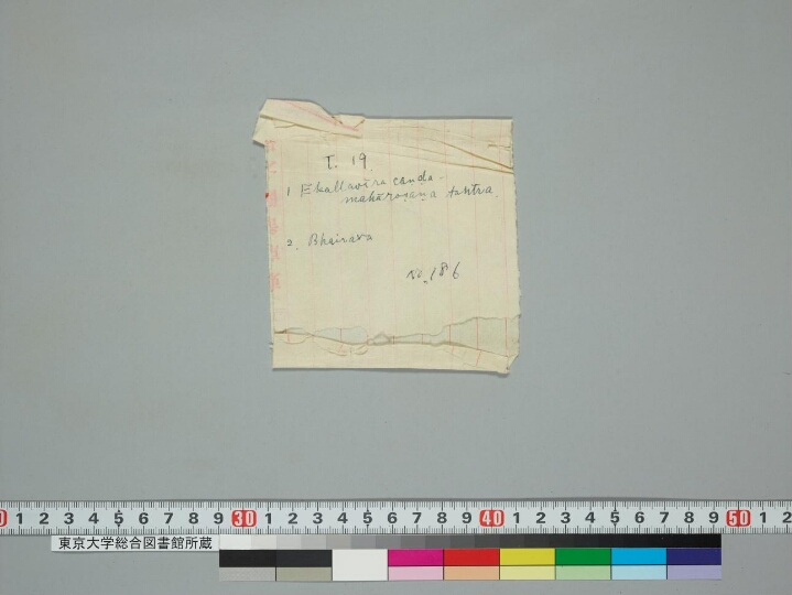 Ekallavīraśrīcaṇḍamahāroṣaṇatantra and Bhairava manuscript preview