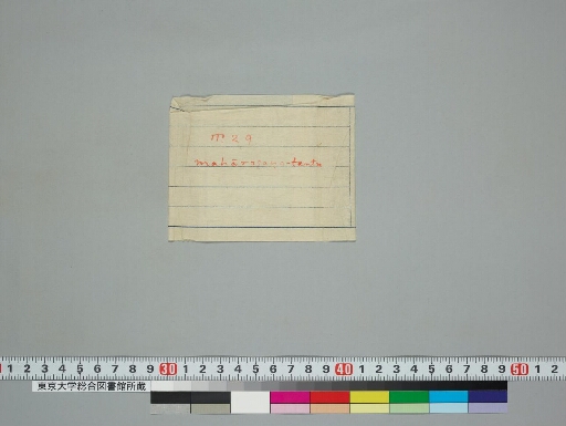 Ekallavīraśrīcaṇḍamahāroṣaṇatantra manuscript preview