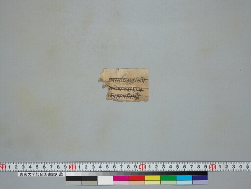 Ekallavīraśrīcaṇḍamahāroṣaṇatantra manuscript preview