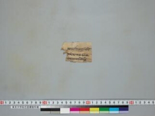 Ekallavīraśrīcaṇḍamahāroṣaṇatantra folio 1