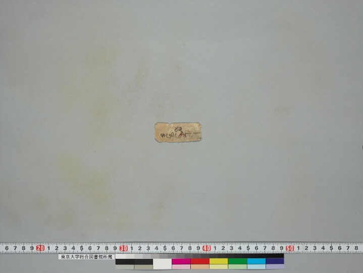 Ekallavīraśrīcaṇḍamahāroṣaṇatantra manuscript preview