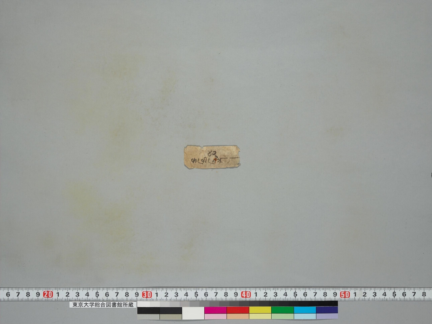 Ekallavīraśrīcaṇḍamahāroṣaṇatantra manuscript preview
