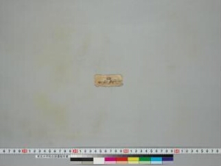 Ekallavīraśrīcaṇḍamahāroṣaṇatantra folio 1