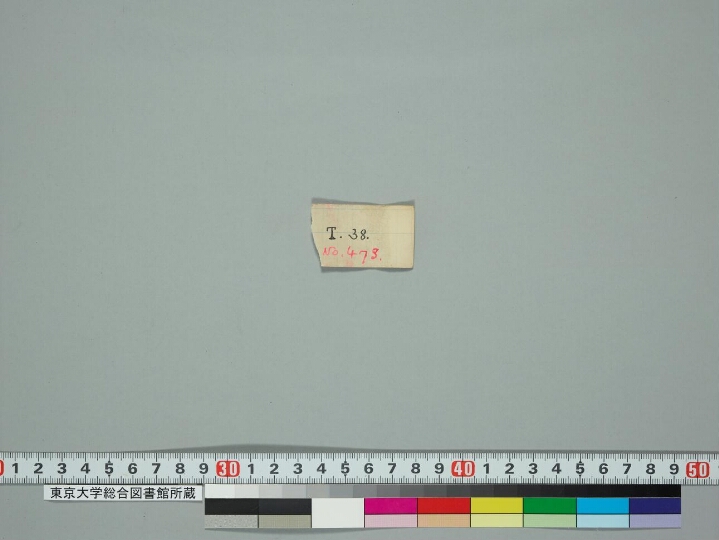 Ekallavīraśrīcaṇḍamahāroṣaṇatantra manuscript preview