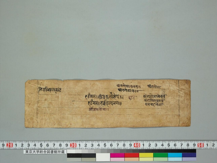 Kapiśāvadāna manuscript preview
