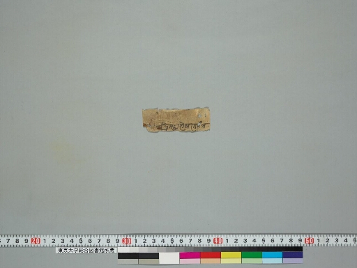 Kalparājamahātantra manuscript preview