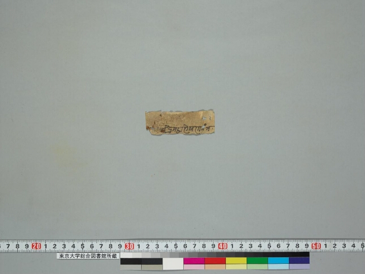 Kalparājamahātantra manuscript preview