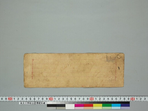 Kāraṇḍavyūhamahāyānasūtraratnarāja manuscript preview