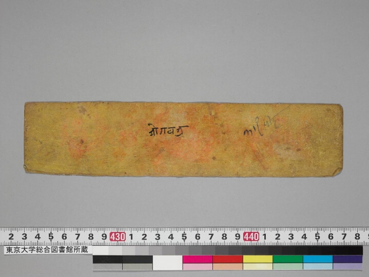 Kāraṇḍavyūhamahāyānasūtra-ratnarāja manuscript preview