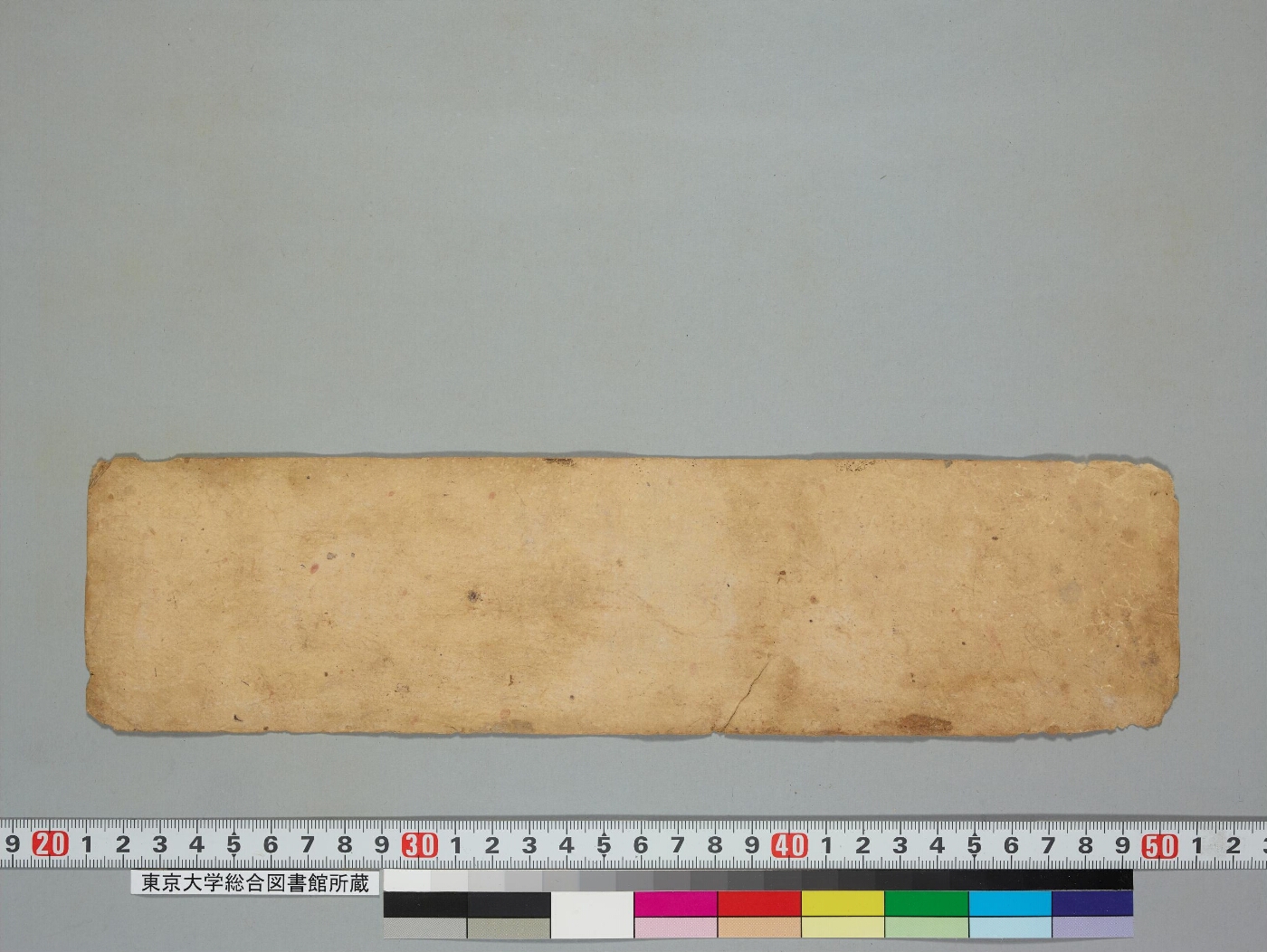 Composite Manuscript: Kālacakrapūjāvidhi; Kālacakrabhagavatsādhanavidhi manuscript preview