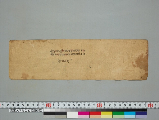 Kirātārjunīya manuscript preview