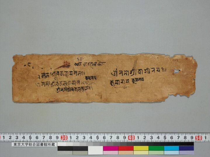 Kumārasaṃbhava manuscript preview