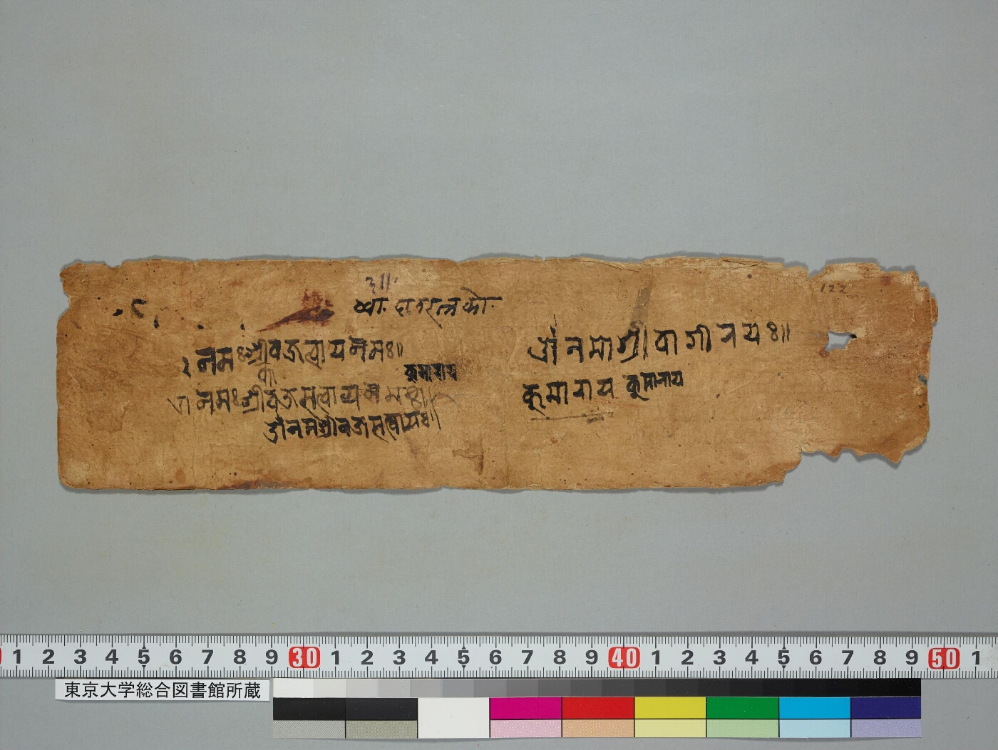Kumārasaṃbhava manuscript preview