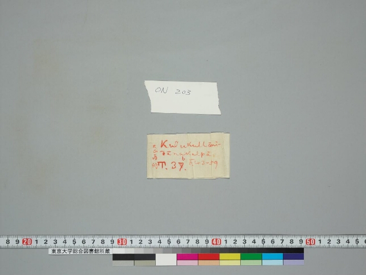 Kurukullākalpa manuscript preview