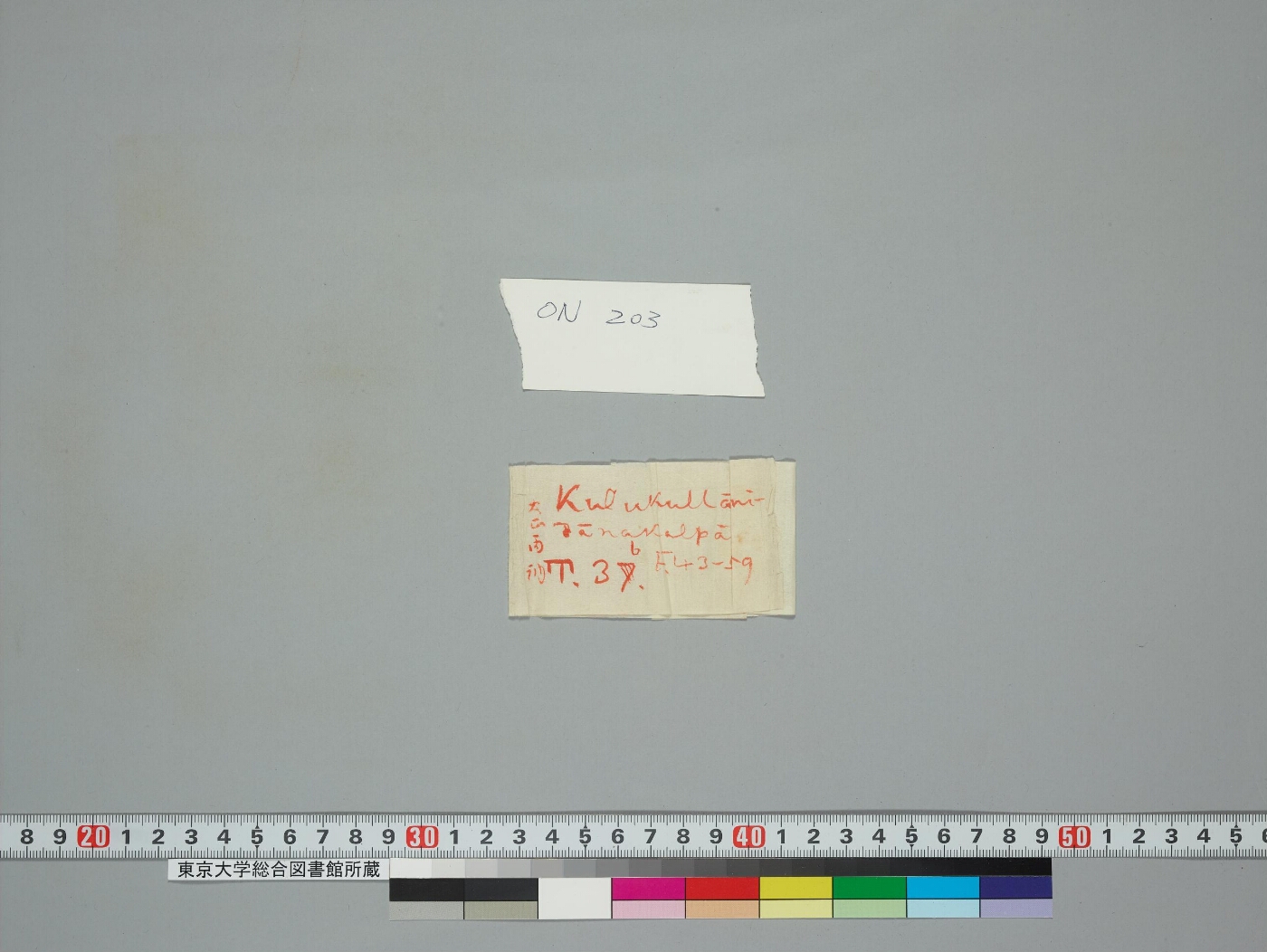 Kurukullākalpa manuscript preview