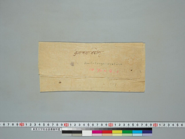 Kulāṣṭaka Kula-caryāvadāna manuscript preview