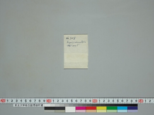 Grahamātṛkādhāraṇī manuscript preview
