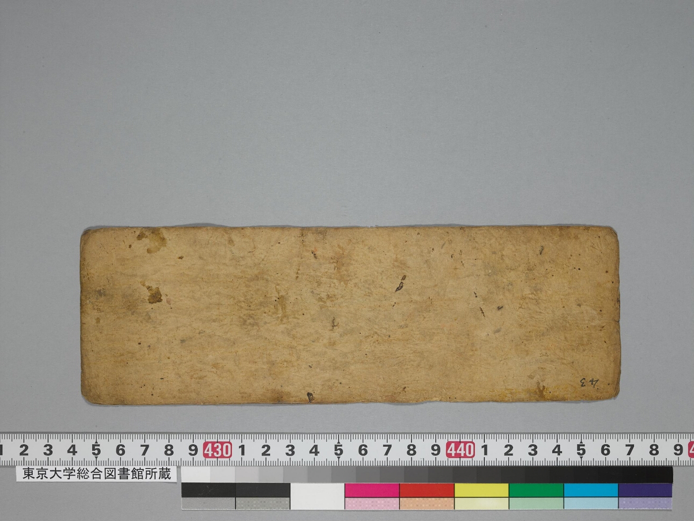 Grahamātṛkādhāraṇī manuscript preview