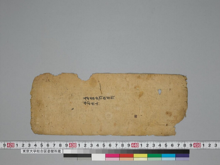 Composite Manuscript: Cakravyūhāṣṭadhākoṭavikāra; Kāśīśvarīmahāgamapraśnaśāstra; Viṃśottarīdaśā; Ramalaśāstra or Ramalavaicitrya; Dinaniyama; Ramalapraśnavicāra manuscript preview