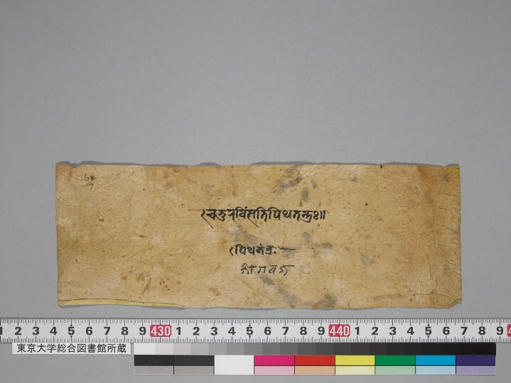 Caturaviṃśatipīṭhatantra manuscript preview