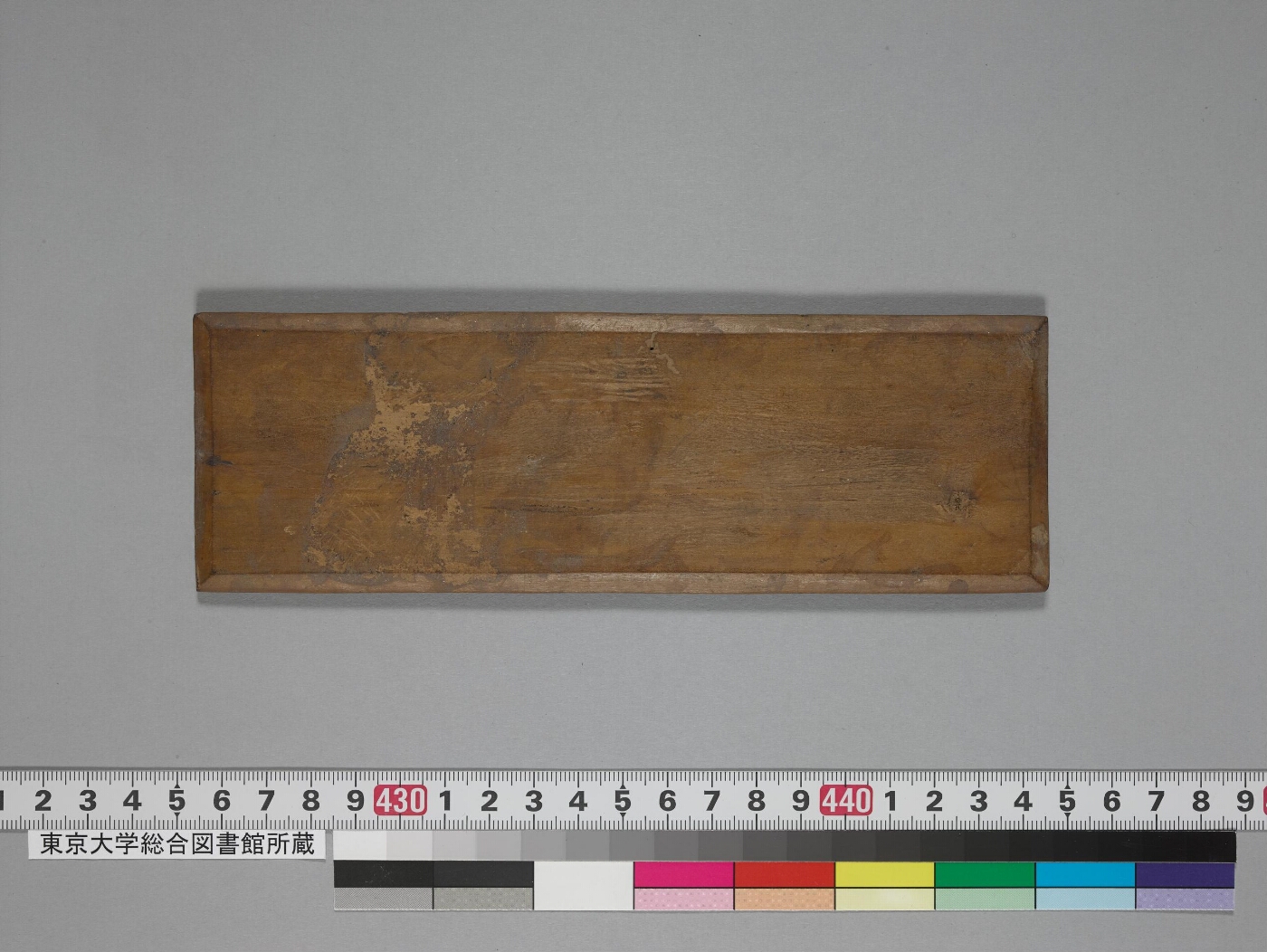 Caturviṃśatipīṭhapūjāvidhi and Aṣṭamātṛkāpūjāvidhi manuscript preview