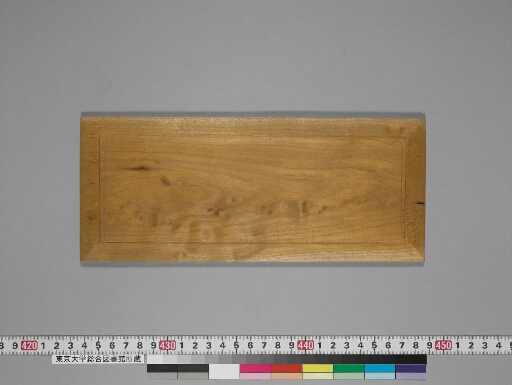 Cāṇakyasārasaṅgraha manuscript preview